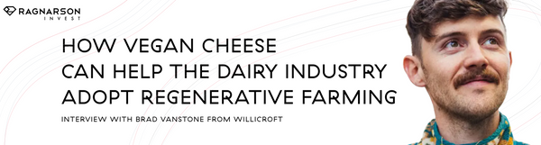 How Vegan Cheese Help the Dairy Industry