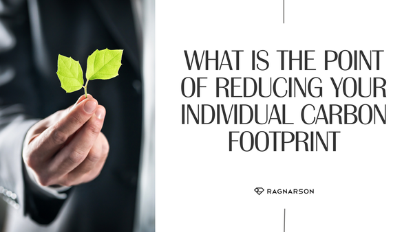What is the point of reducing your individual carbon footprint